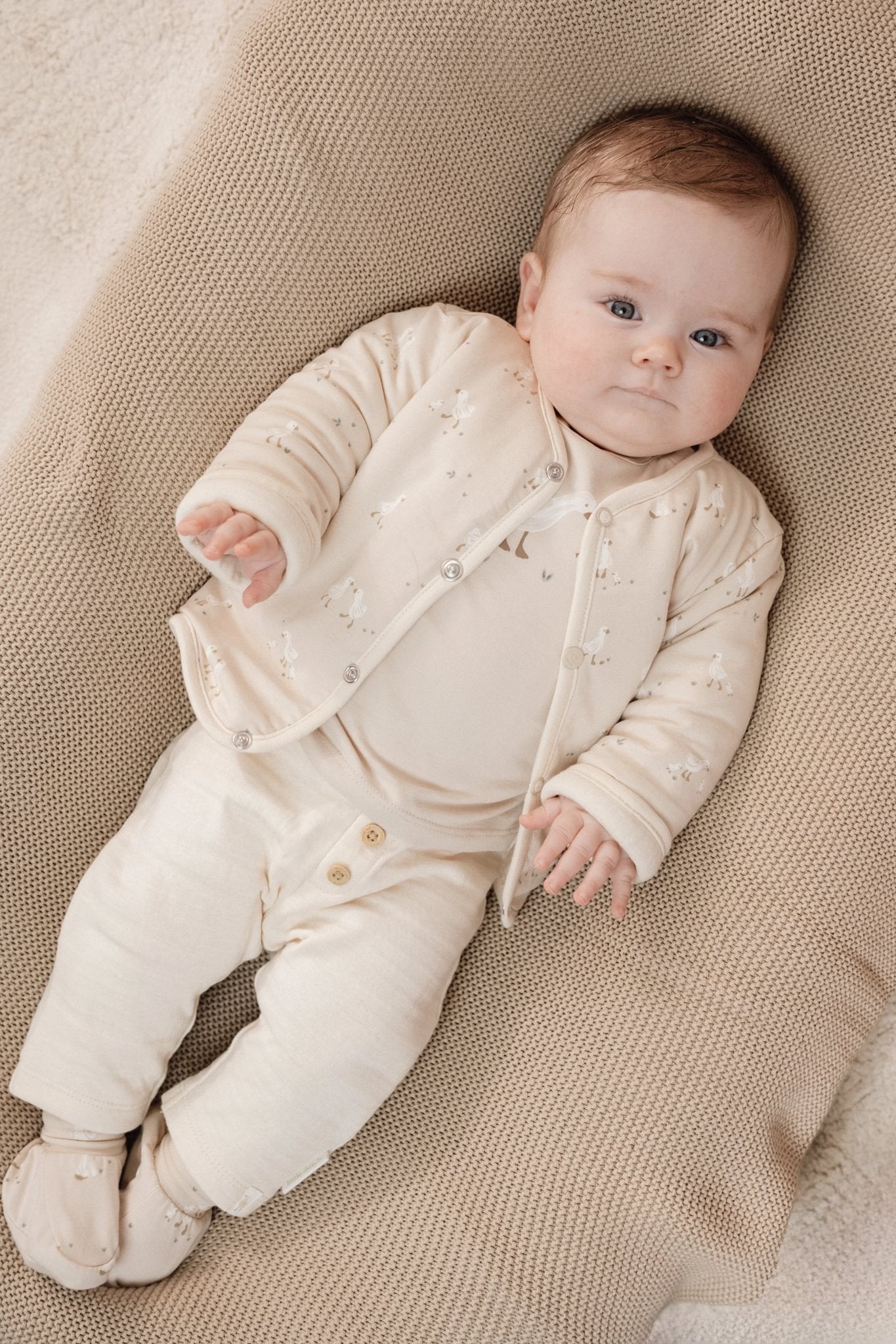 Slofjes Little Goose