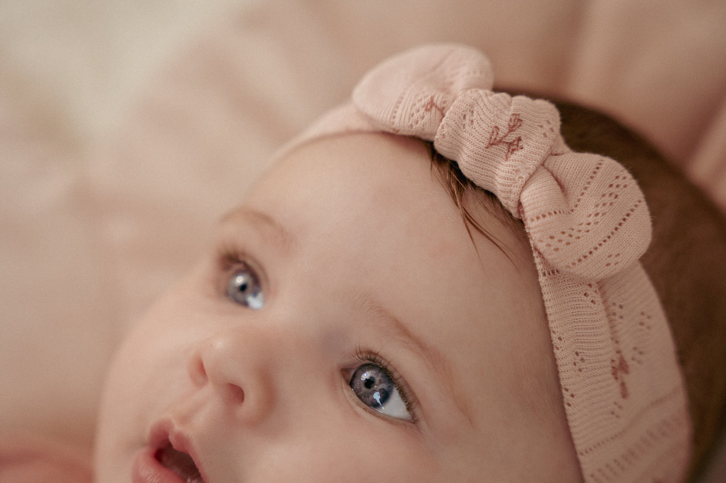 Haarband set van 2 Fairy Garden