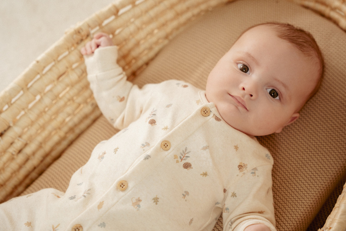 Boxpakje Zand Forest Friends maat 62