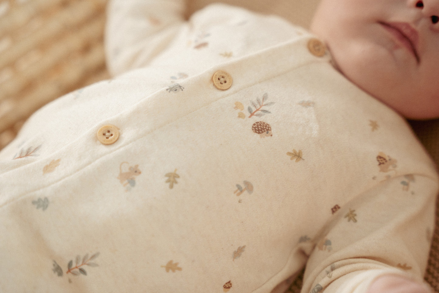 Boxpakje Zand Forest Friends maat 62