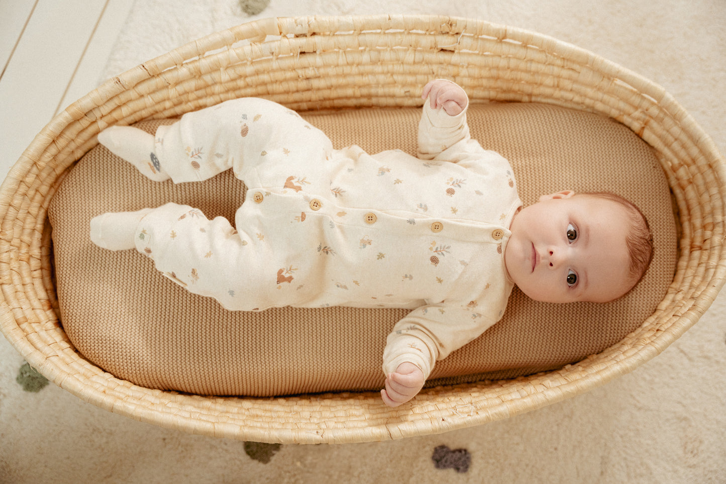 Boxpakje Zand Forest Friends maat 62