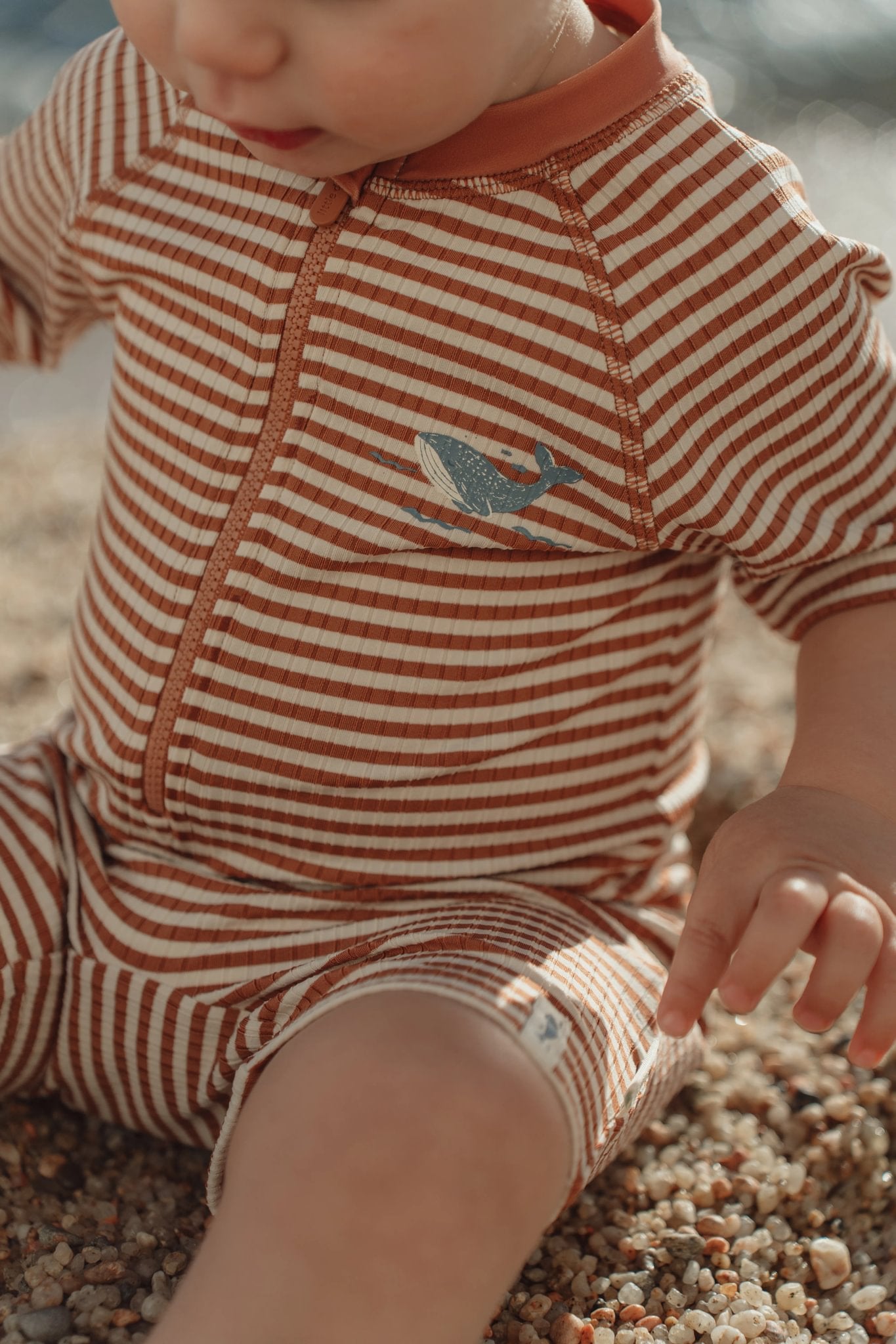 Zwempak Ocean Brown Stripes