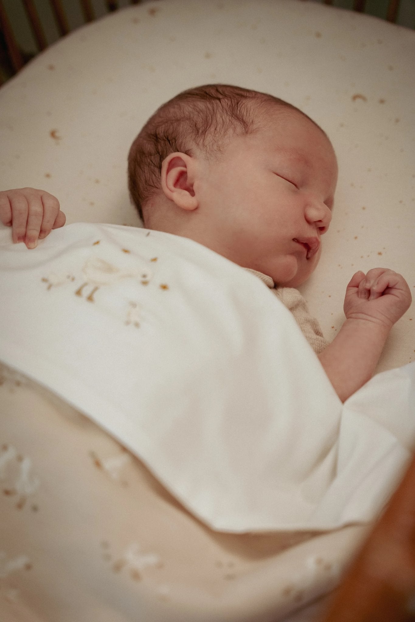 Wiegdeken fleece "Little Goose"