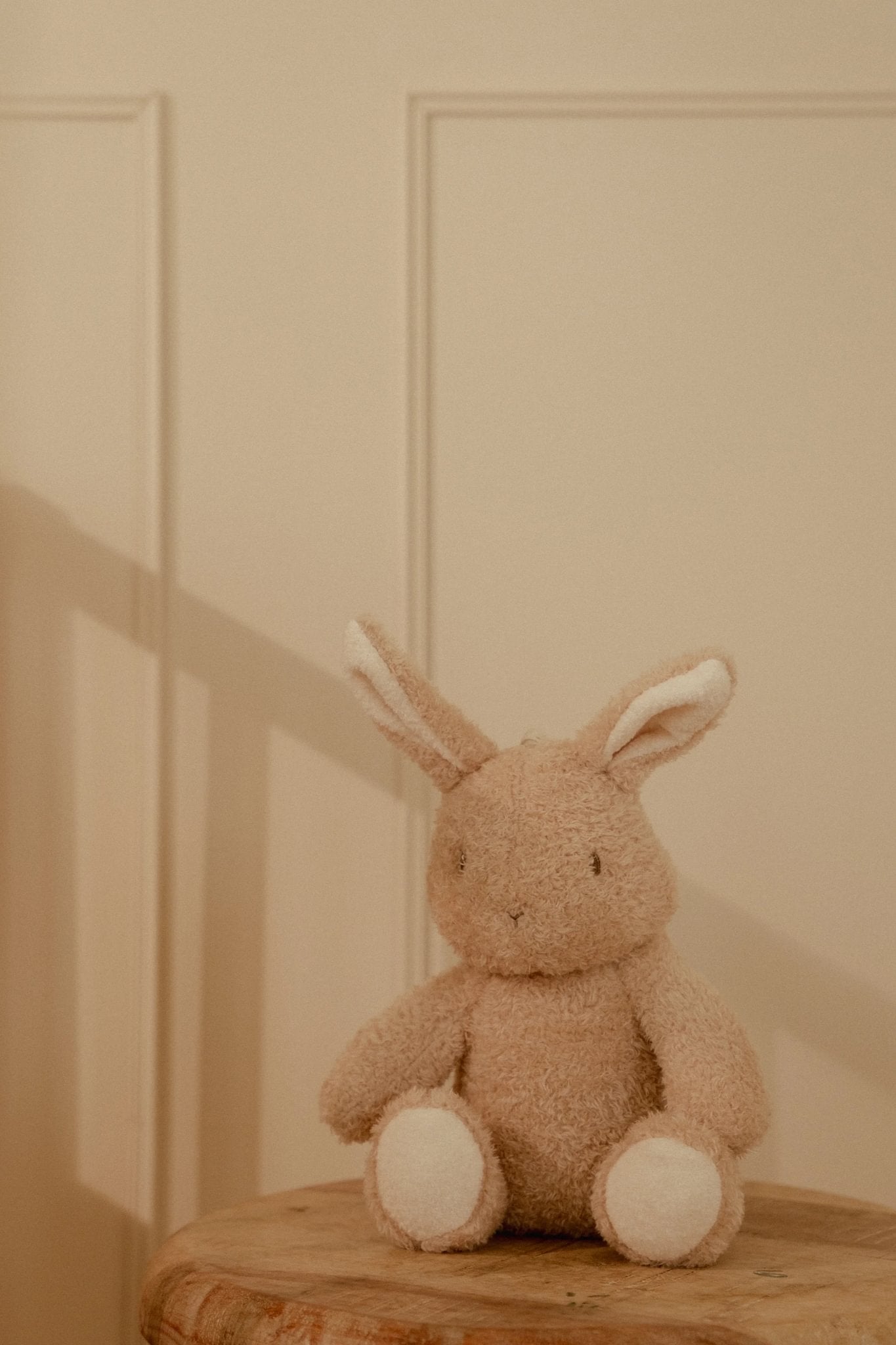 Knuffelkonijn licht en geluid (nachtlampje)