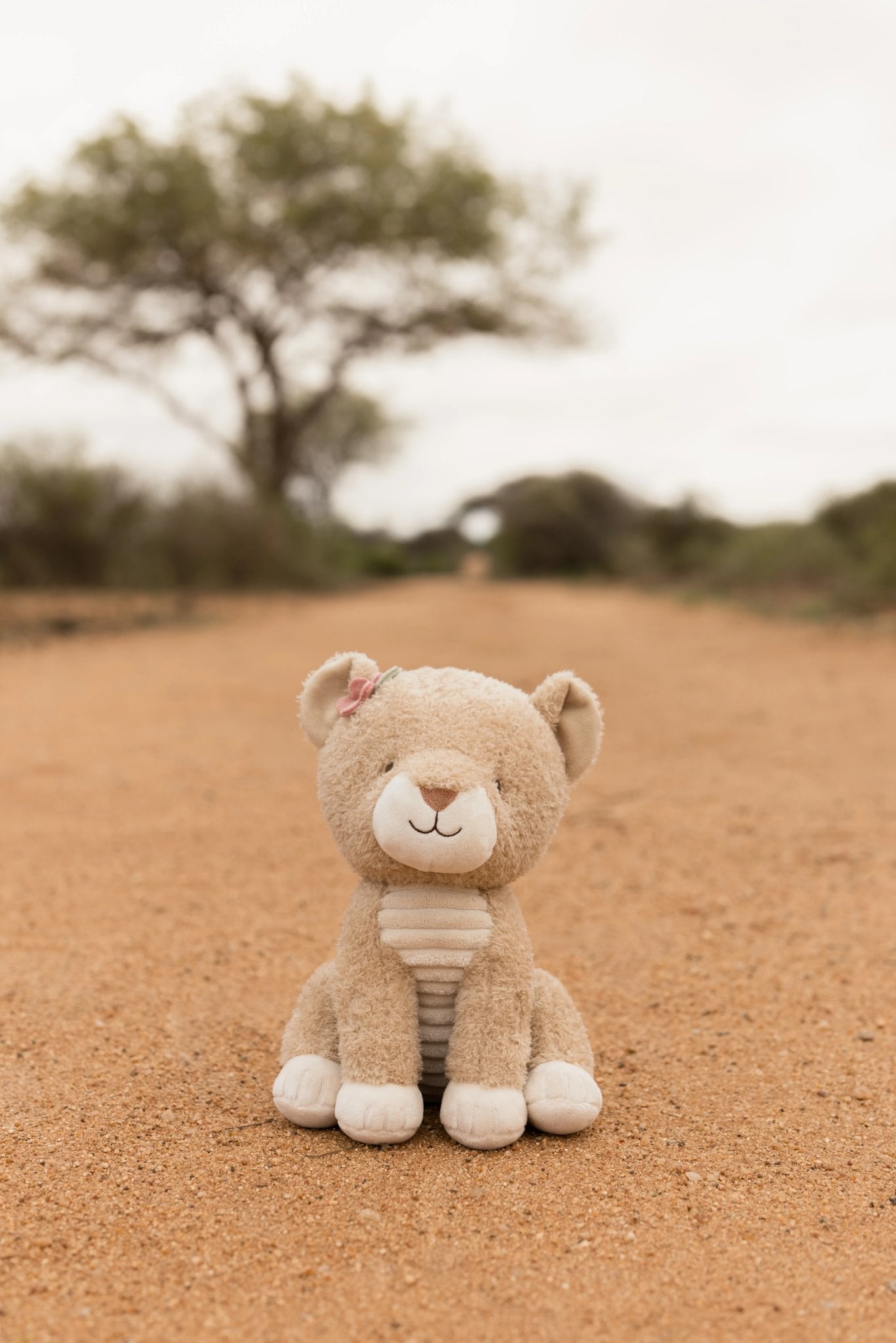 Knuffel leeuwin 17 cm
