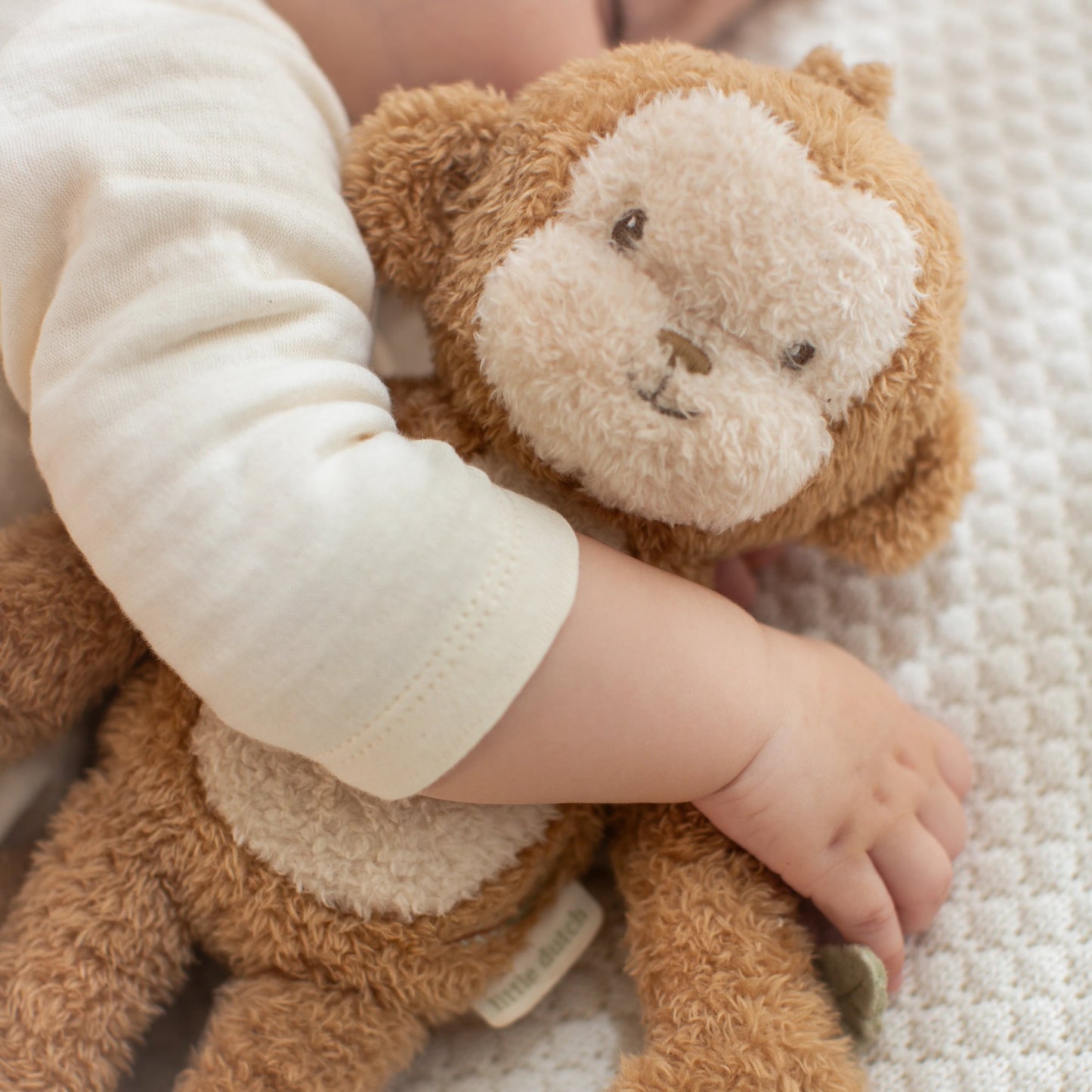 Knuffel aap