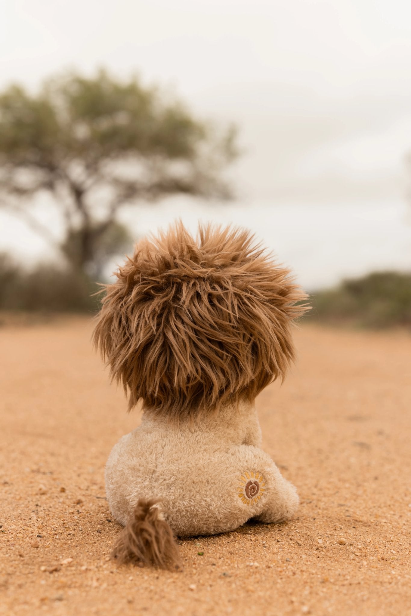 Knuffel leeuw 17 cm