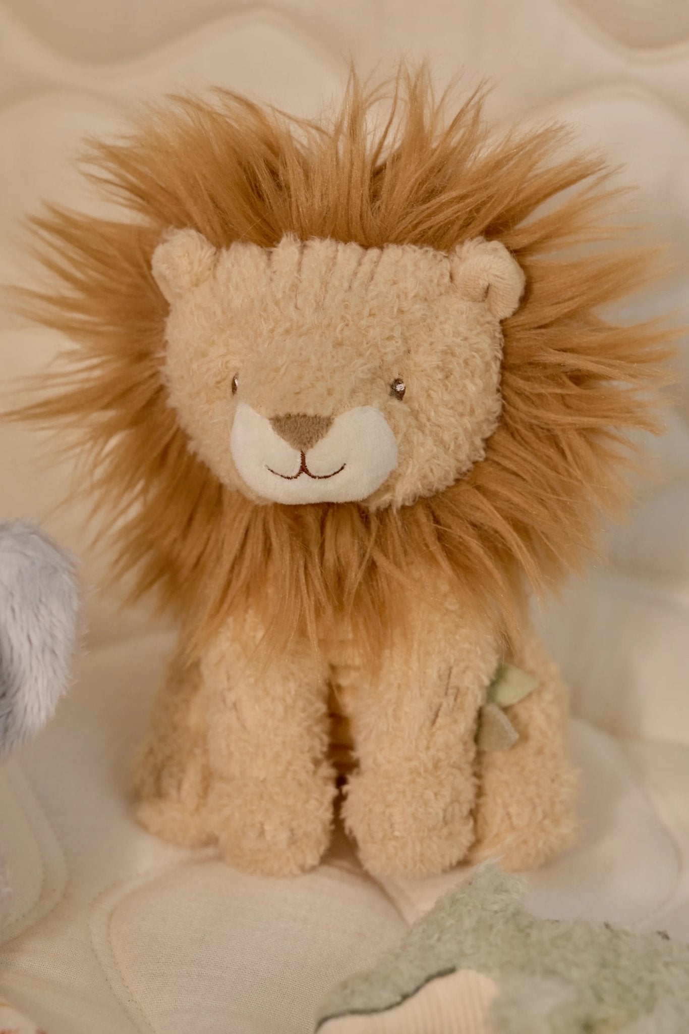 Giftset "Safari Friends"