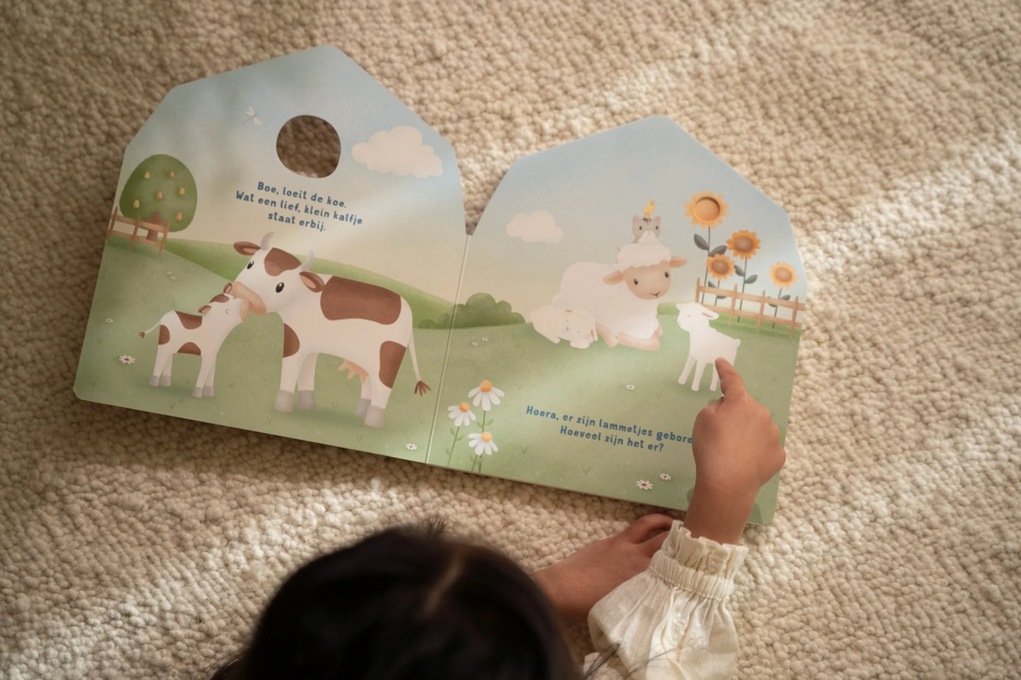 Mijn doorkijkboek - boerderij