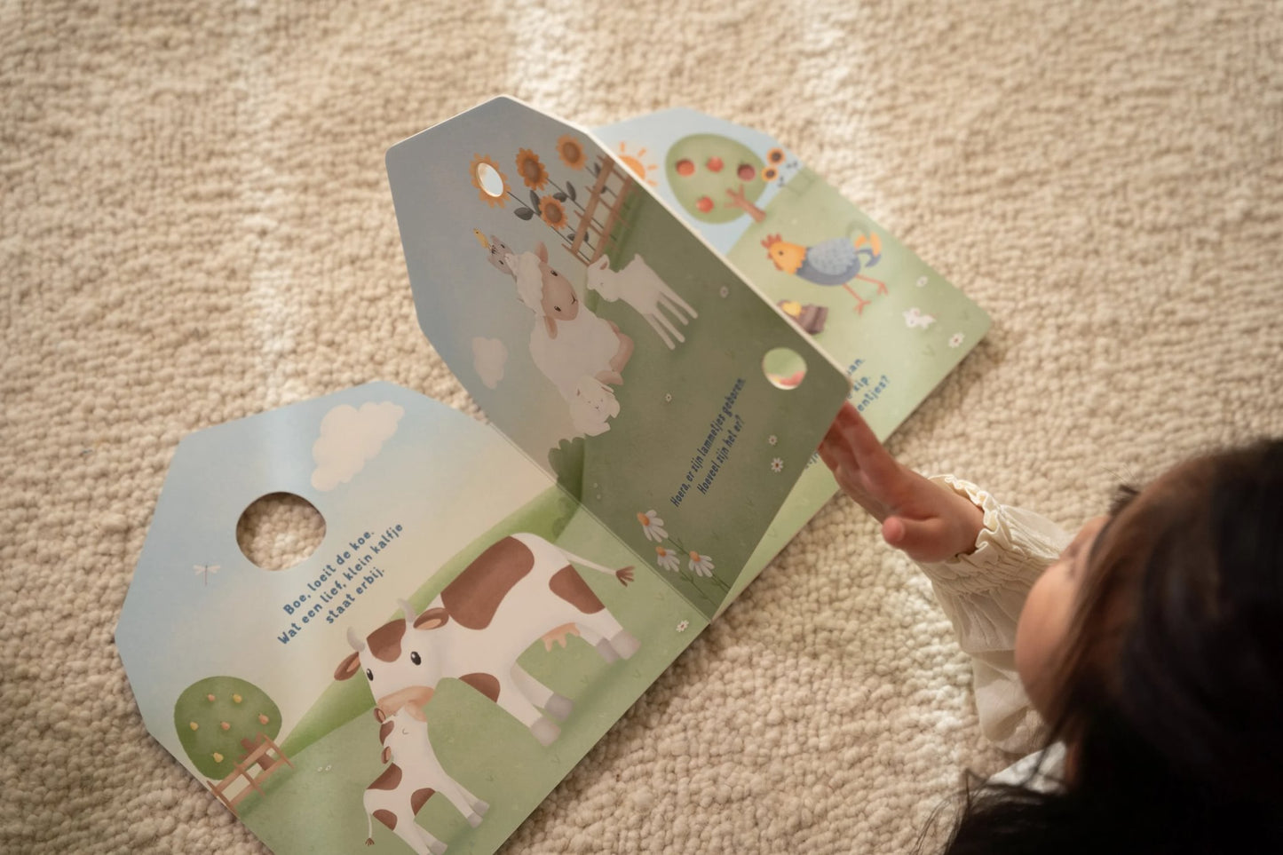 Mijn doorkijkboek - boerderij