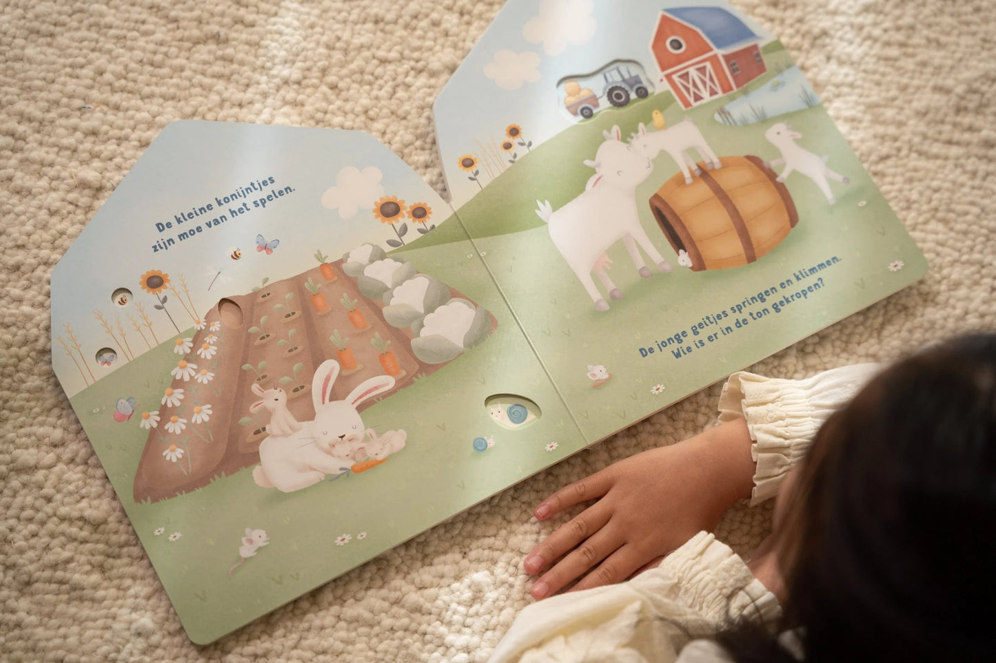 Mijn doorkijkboek - boerderij