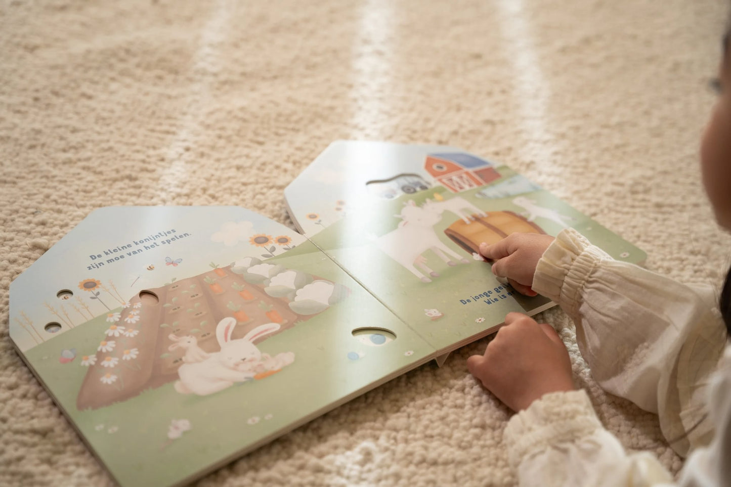 Mijn doorkijkboek - boerderij