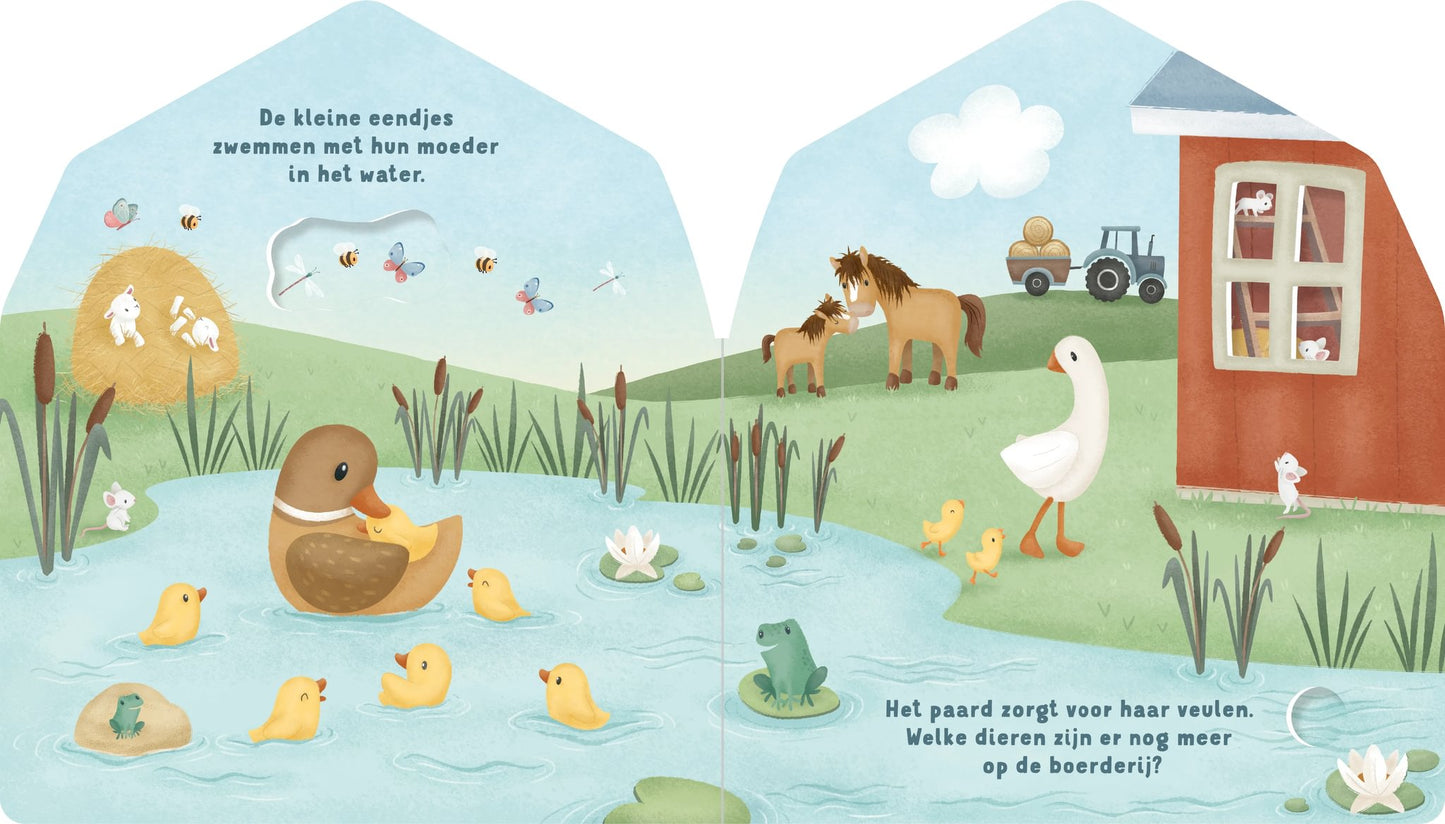 Mijn doorkijkboek - boerderij