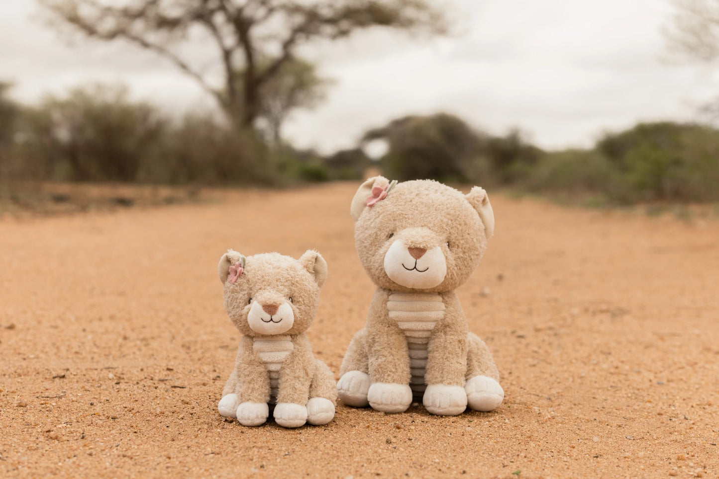 Knuffel leeuwin 17 cm