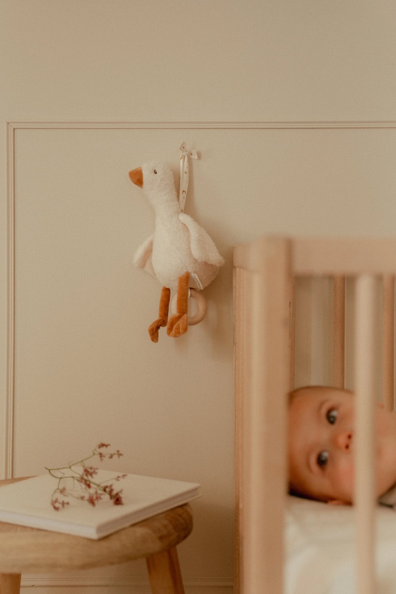Muziekdoosje Little Goose