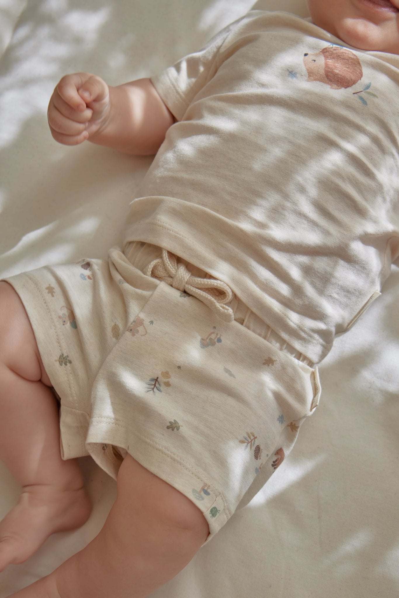 Shortje "Forest Nature"