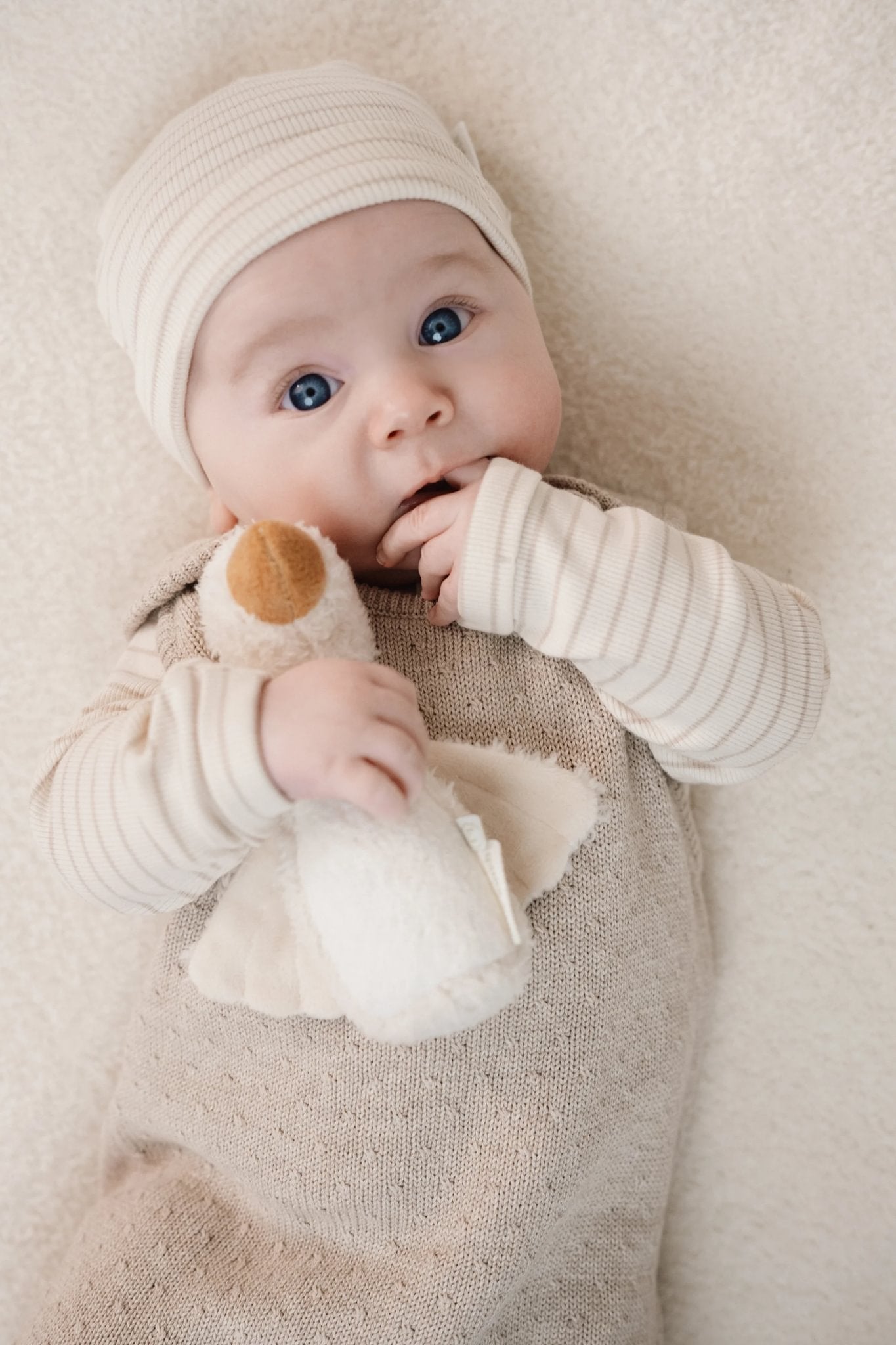 T-shirt lange mouw beige stripe Little Goose
