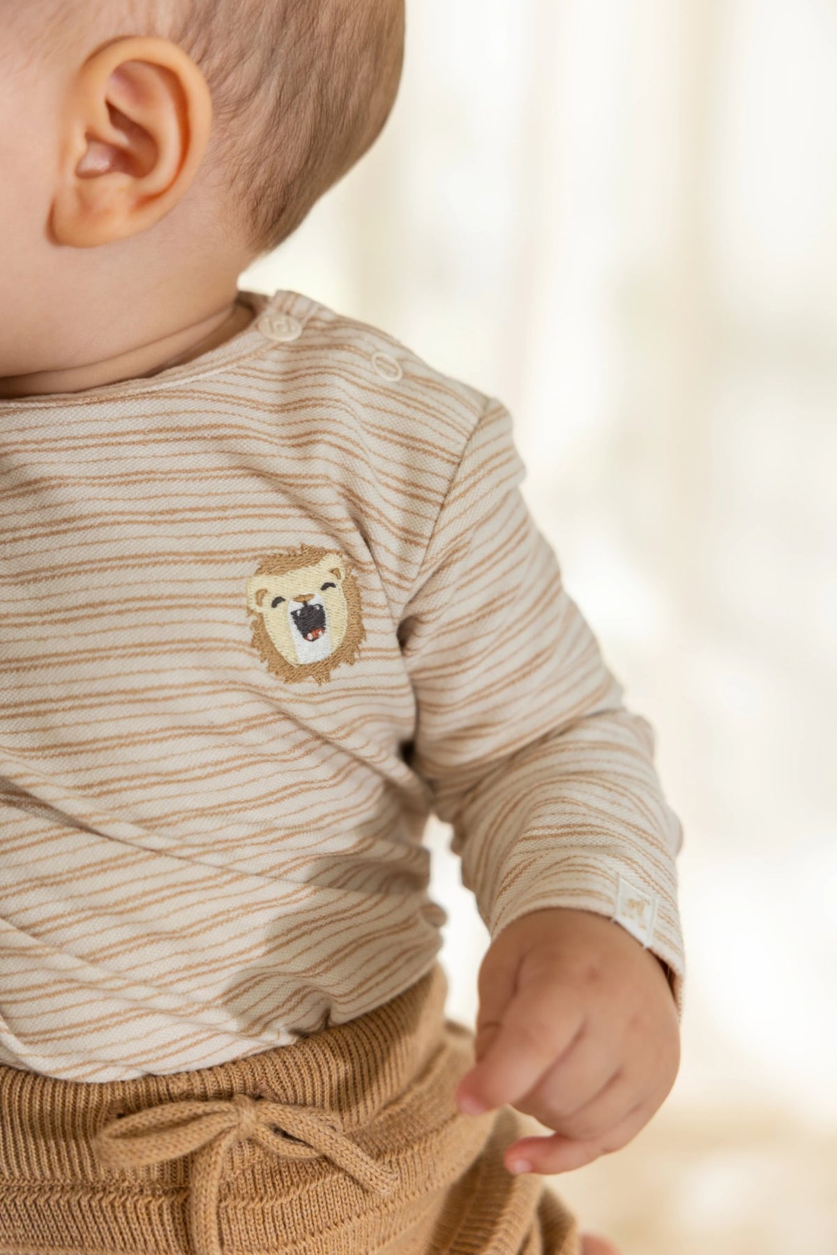 T-shirt Little Safari Stripe
