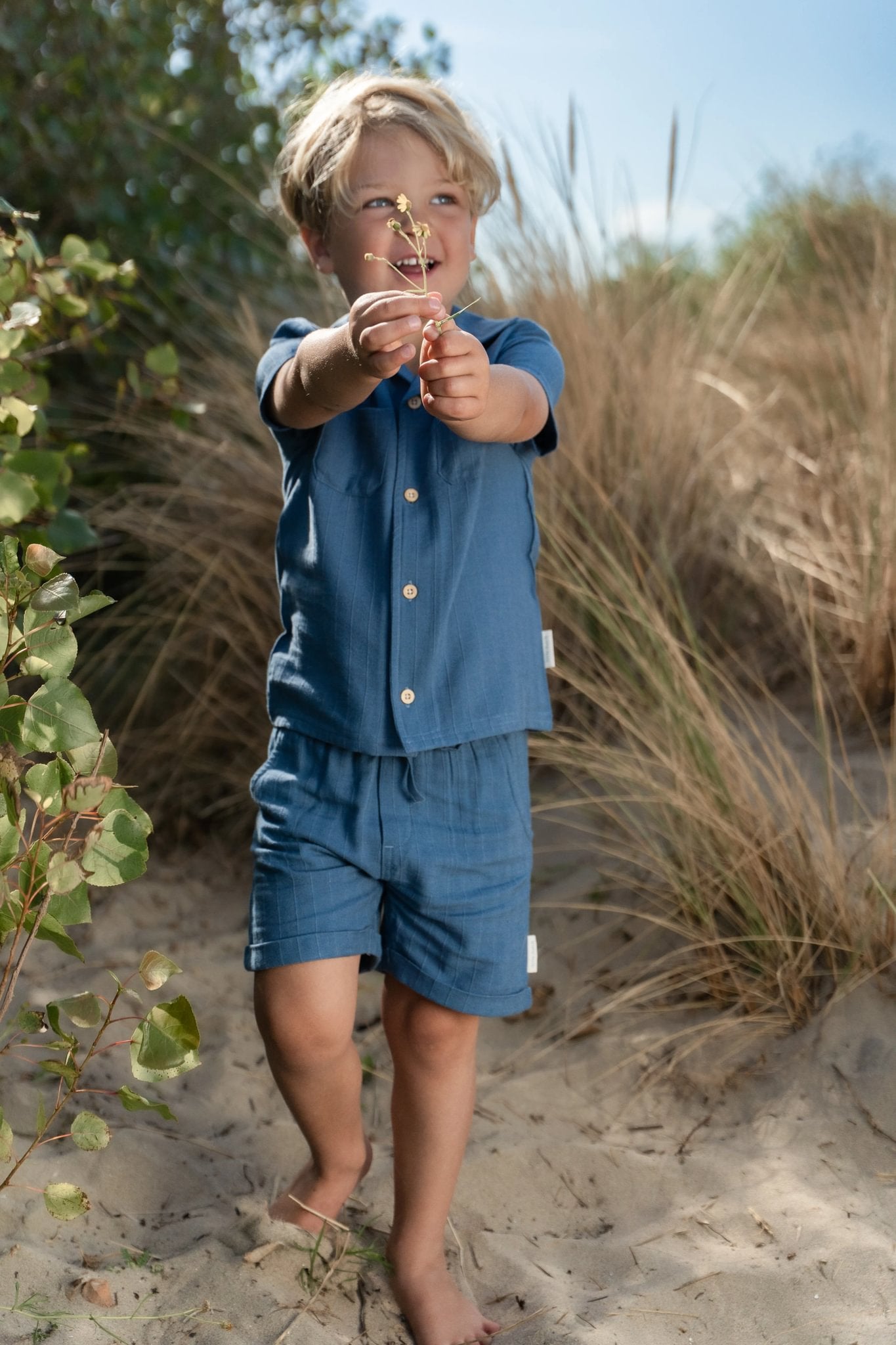 Short Indigo